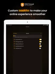 dns firewall by keepsolid ipad images 4