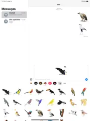 exotic bird stickers ipad images 2