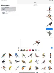 bird life stickers ipad images 3
