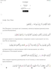 Академия Корана — переводы айпад изображения 2
