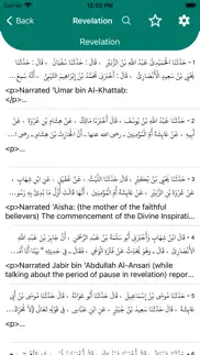 hadith collection pro iphone images 3