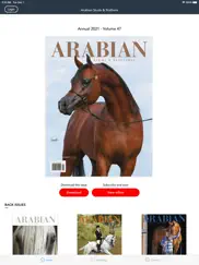 arabian studs and stallions ipad images 1