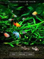 tropical fish tank - mini aqua ipad images 3