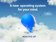 waking up: meditation & wisdom ipad images 1
