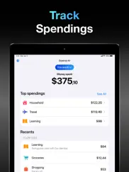 expense air - spending tracker ipad images 2