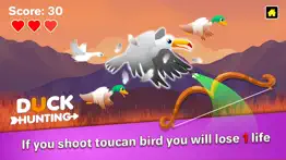 duck hunting - bird simulator iphone images 4