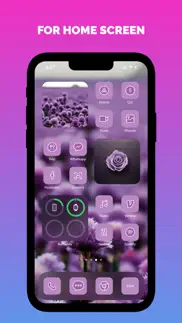 widgets, themes, skins, icons iphone resimleri 2