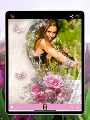flower blossom photo frames ipad images 1