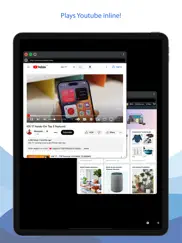 multiwindows browser ipad images 3