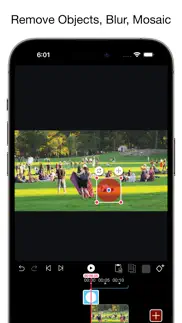 video eraser - remove objects iphone images 1