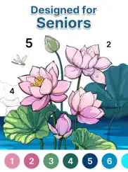 anima color for seniors ipad images 1