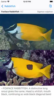 philippines fish id iPhone Captures Décran 2