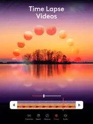 videoleap: ai video editor ipad images 3