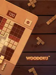 woodoku: деревянные блоки айпад изображения 2