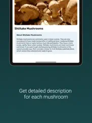mushroom identifier ipad images 2