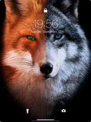 wolf live wallpapers 4k ipad images 2