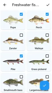 fish planet calendar iphone images 3