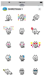 shirotama cat sticker iphone images 2