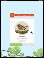 chirpomatic - australian birds ipad capturas de pantalla 2