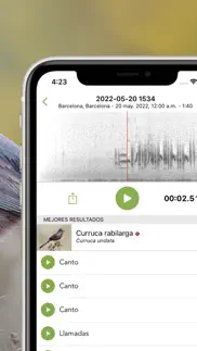 merlin bird id por cornell lab iphone capturas de pantalla 3