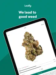 leafly: find weed near you ipad images 1