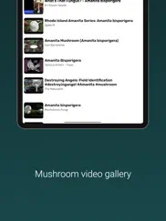 mushroom identifier ipad images 4