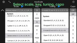 anyscale - tunings & scales iphone images 2