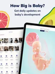 pregnancy & baby app: the bump ipad images 2