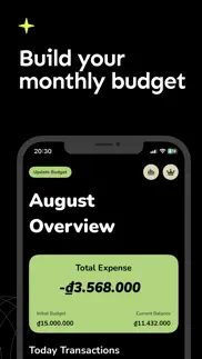 expense cap - expense budget iphone capturas de pantalla 2