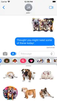 english bulldog stickers iPhone Captures Décran 1