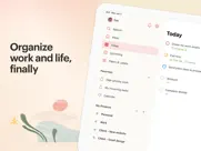 todoist: to-do list & planner ipad images 1