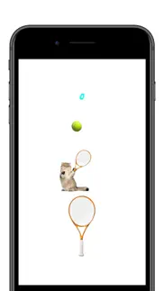 cat sports iphone images 1