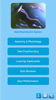 male reproductive system iphone images 1