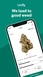 leafly: find weed near you iphone images 1