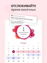Женский календарь менструаций айпад изображения 2