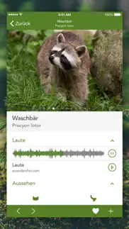 wilde tiere und spuren pro iphone capturas de pantalla 3