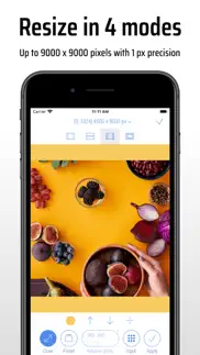 cropsize: precise photo resize iphone images 2