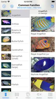philippines fish id iPhone Captures Décran 3