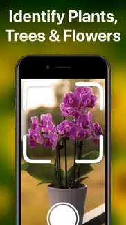 plantai - plant identifier iphone images 2