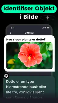 AI Chat-Spør Chatbot Assistent iphone bilder 3