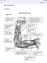 orthopedic anatomy ipad resimleri 1