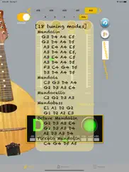 mandolintuner - tuner mandolin ipad images 4
