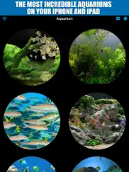 aquarium tv screen ipad images 1