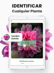 identificador de plantas ipad capturas de pantalla 1
