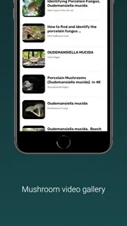 mushroom identifier iphone images 4