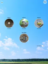 cui-cui! chants d'oiseaux iPad Captures Décran 3