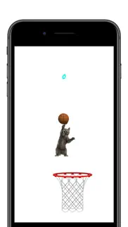 cat sports iphone images 3