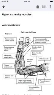 orthopedic anatomy iphone resimleri 1