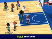 mini basketball ipad images 2