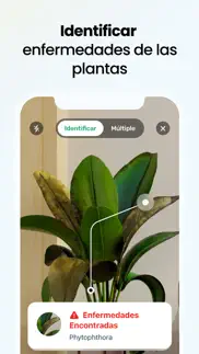 plant app - buscador de planta iphone capturas de pantalla 3